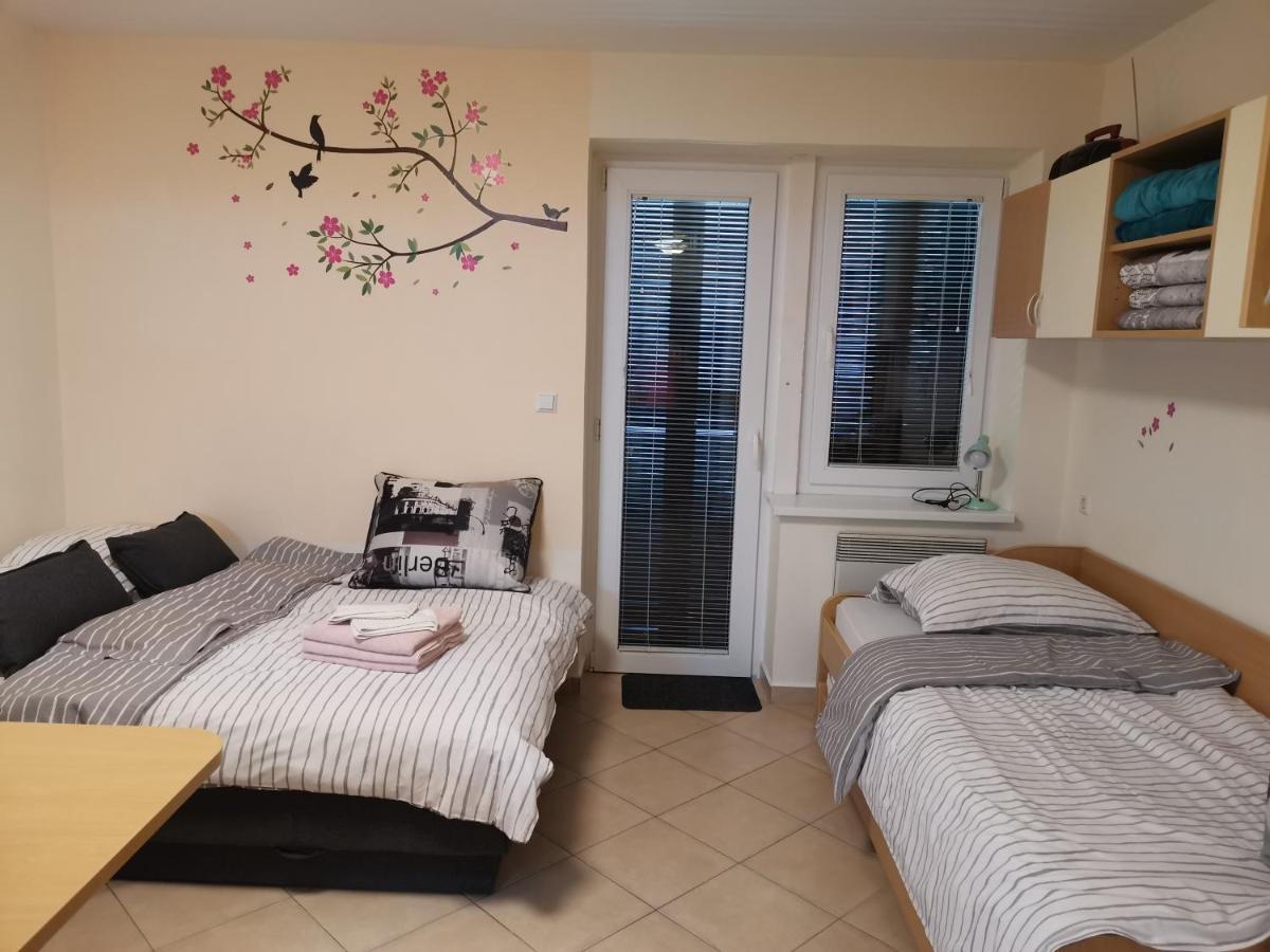 Appartamento Apartma Gaber 80 Zreče Esterno foto