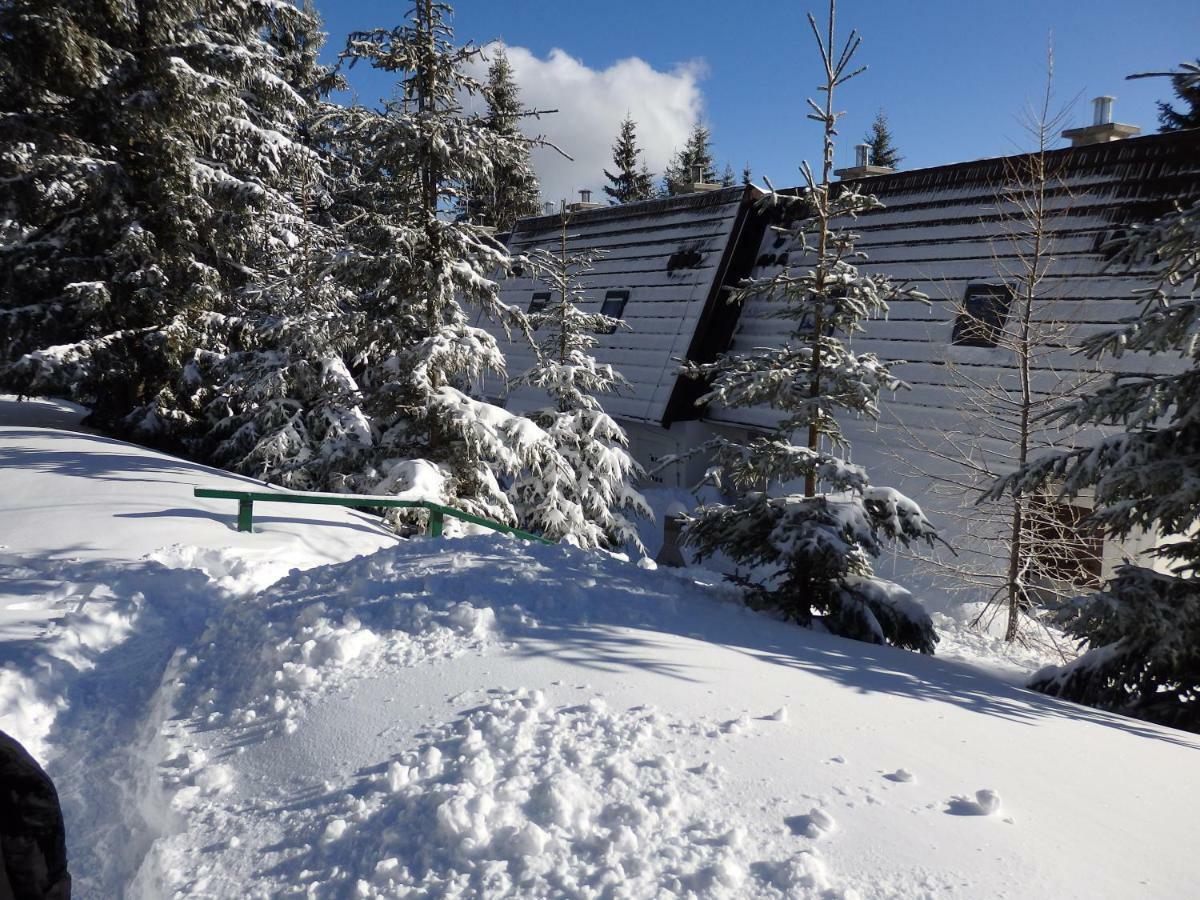 Apartma Gaber 80 Zreče Esterno foto