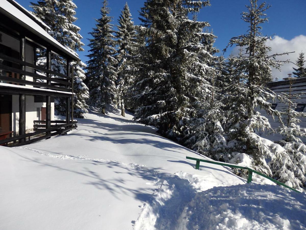 Apartma Gaber 80 Zreče Esterno foto